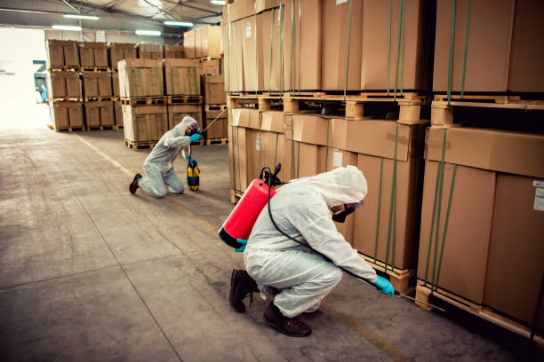 Reliable Sunland Park, NM Pest Control Solutions