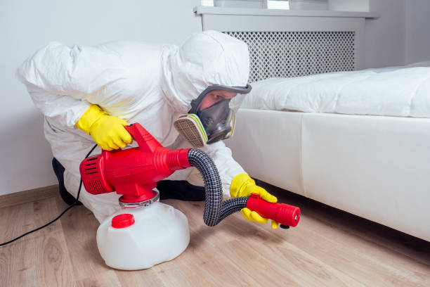 Best Exterminator Services  in Sunland Park, NM
