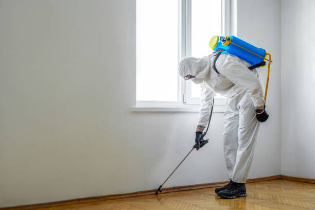Best Local Pest Control Services  in Sunland Park, NM