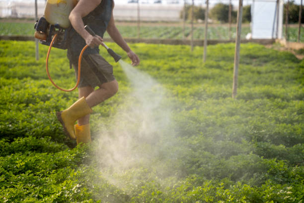 Best Commercial Pest Control Services  in Sunland Park, NM