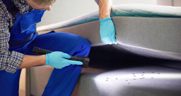 Best Termite Control Services  in Sunland Park, NM