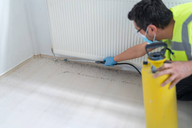 Best Pest Removal Services  in Sunland Park, NM