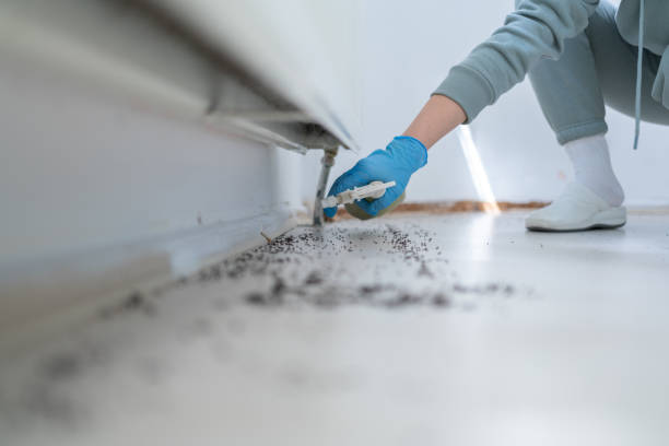 Best Pest Inspection Near Me  in Sunland Park, NM